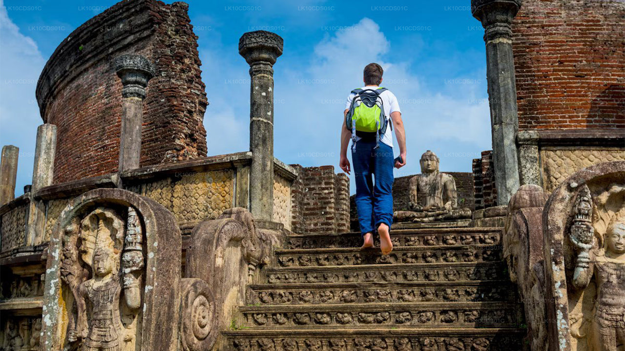 Lo más destacado de Sri Lanka en tren (12)