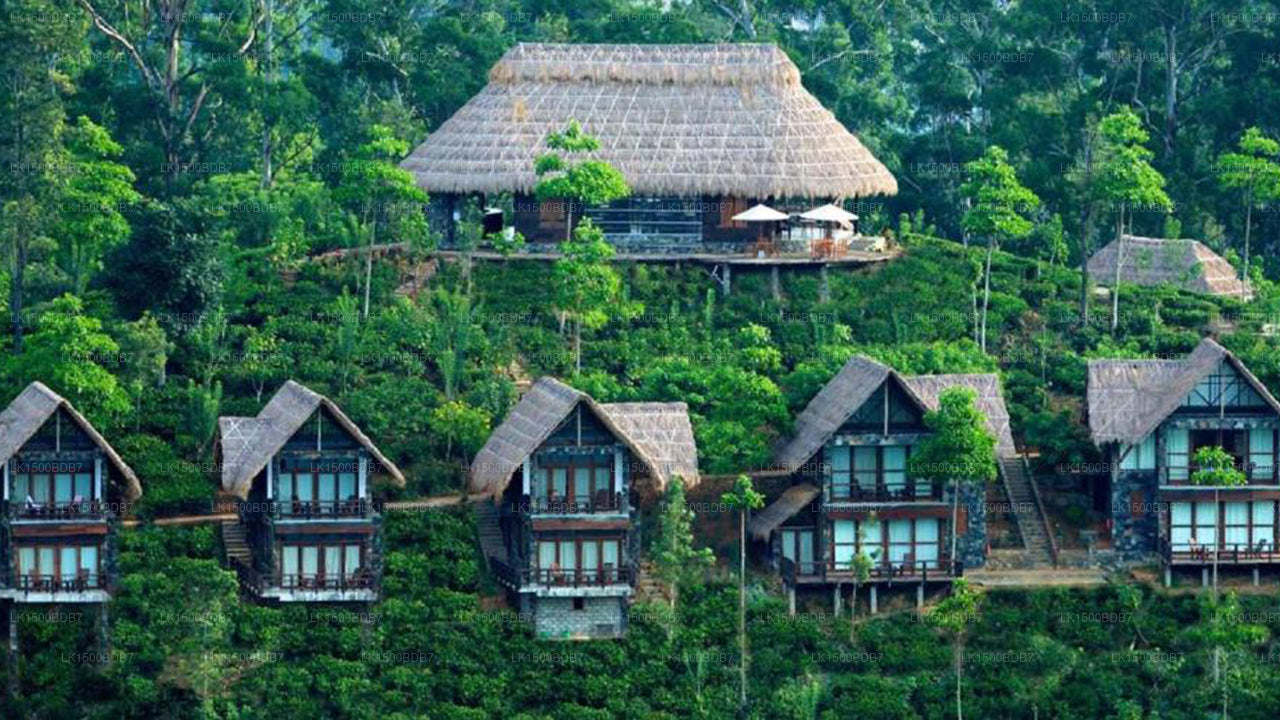 98 Acres Resort, Ella