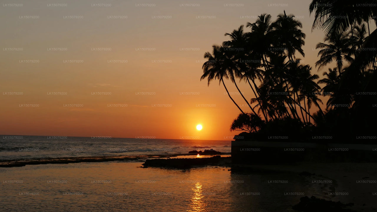 Hotel Ayurveda Paragon, Talpe