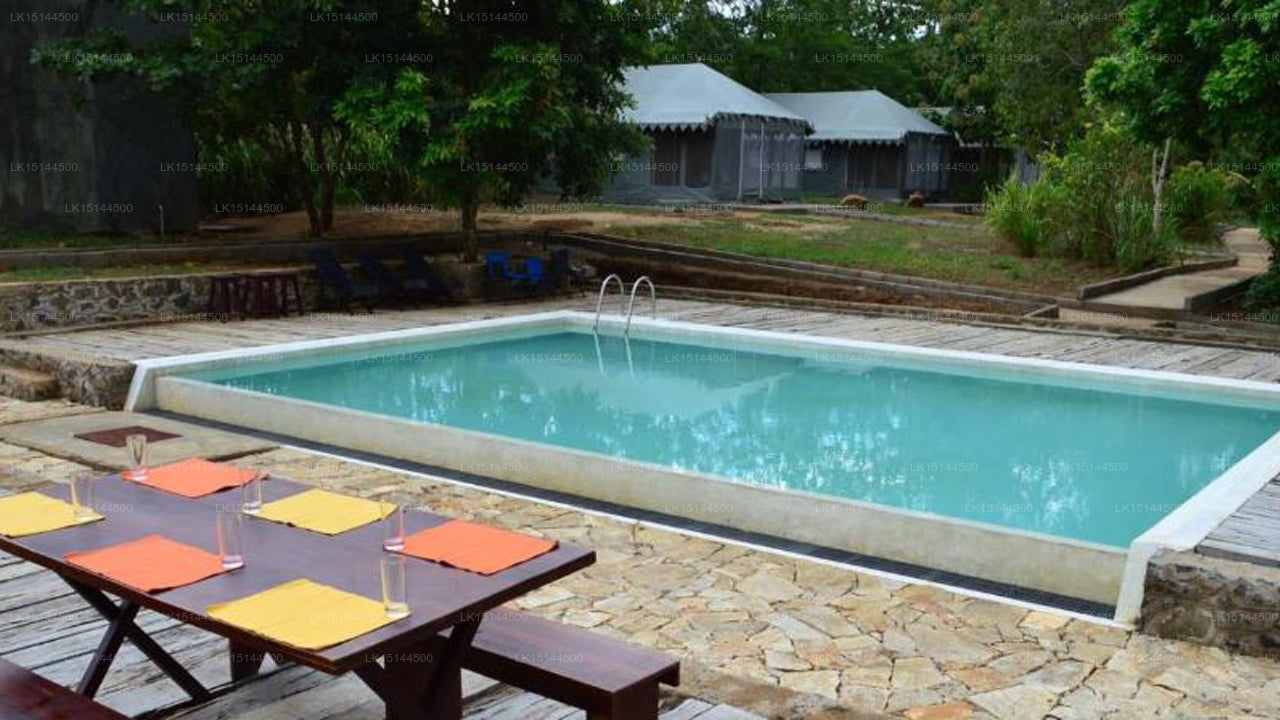 Wild Elephas Lodge, Udawalawe