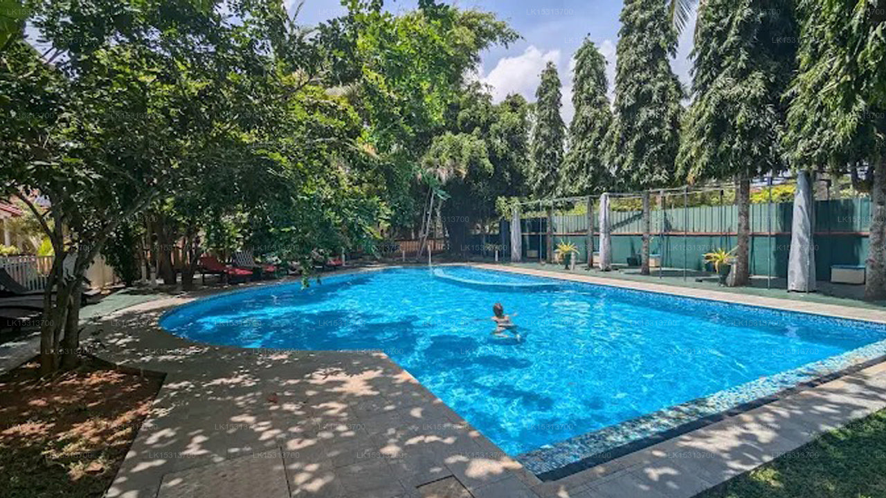 Rico Shadow Guest House & Restaurant, Waikkal