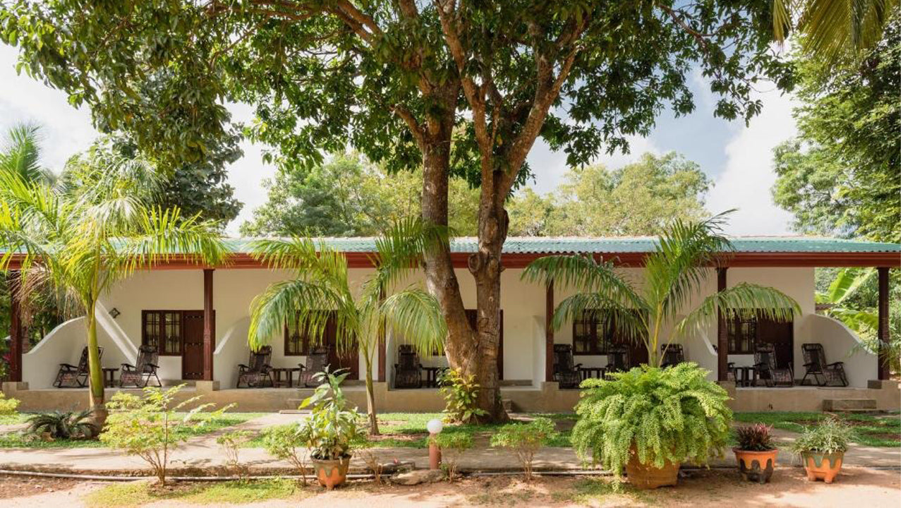 La Dolce Vita, Sigiriya