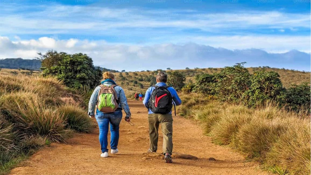 Visita guiada al Parque Nacional Horton Plains con entradas incluidas.