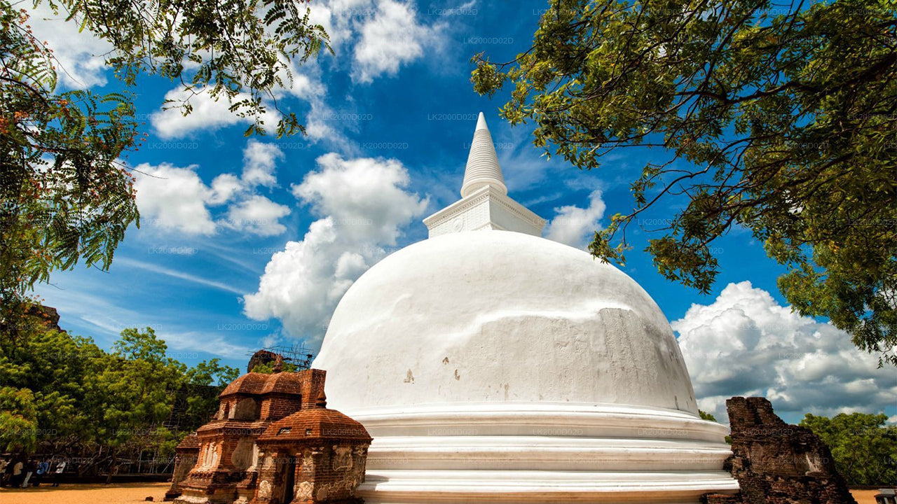 Visita guiada a la ciudad antigua de Polonnaruwa con entradas