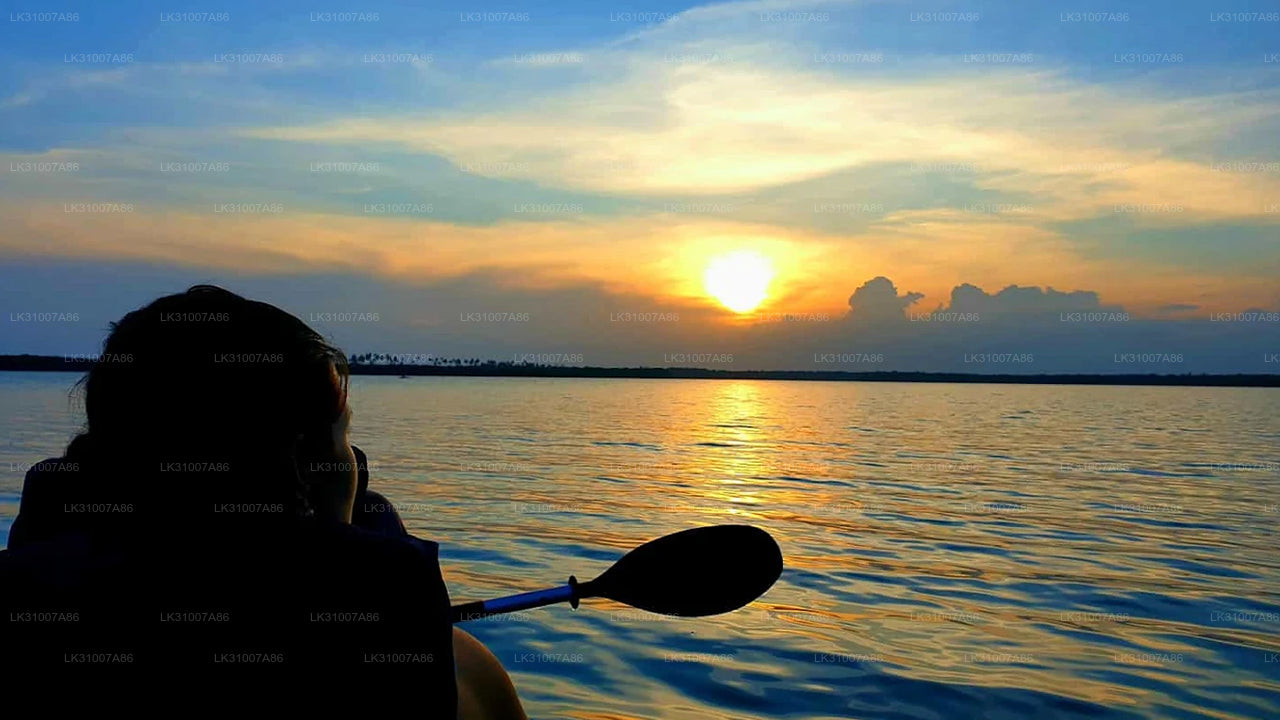 Excursión en kayak por la laguna desde Negombo