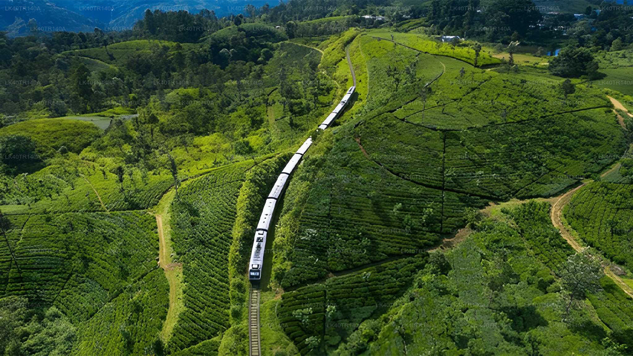 De Kandy a Ella: un viaje panorámico en tren, coche o furgoneta