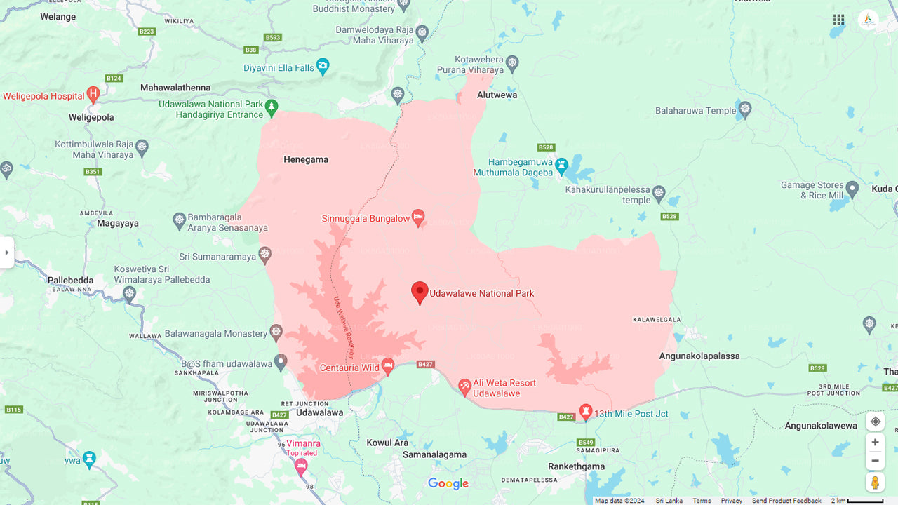 Safari privado en el Parque Nacional Udawalawe