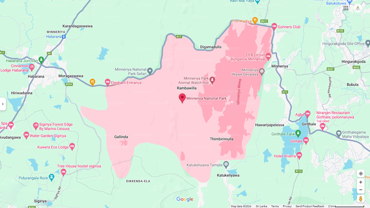 Safari privado en el Parque Nacional de Minneriya