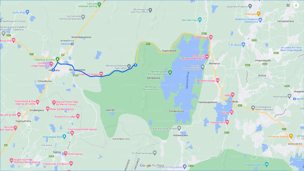 Safari privado en el Parque Nacional Minneriya desde Habarana