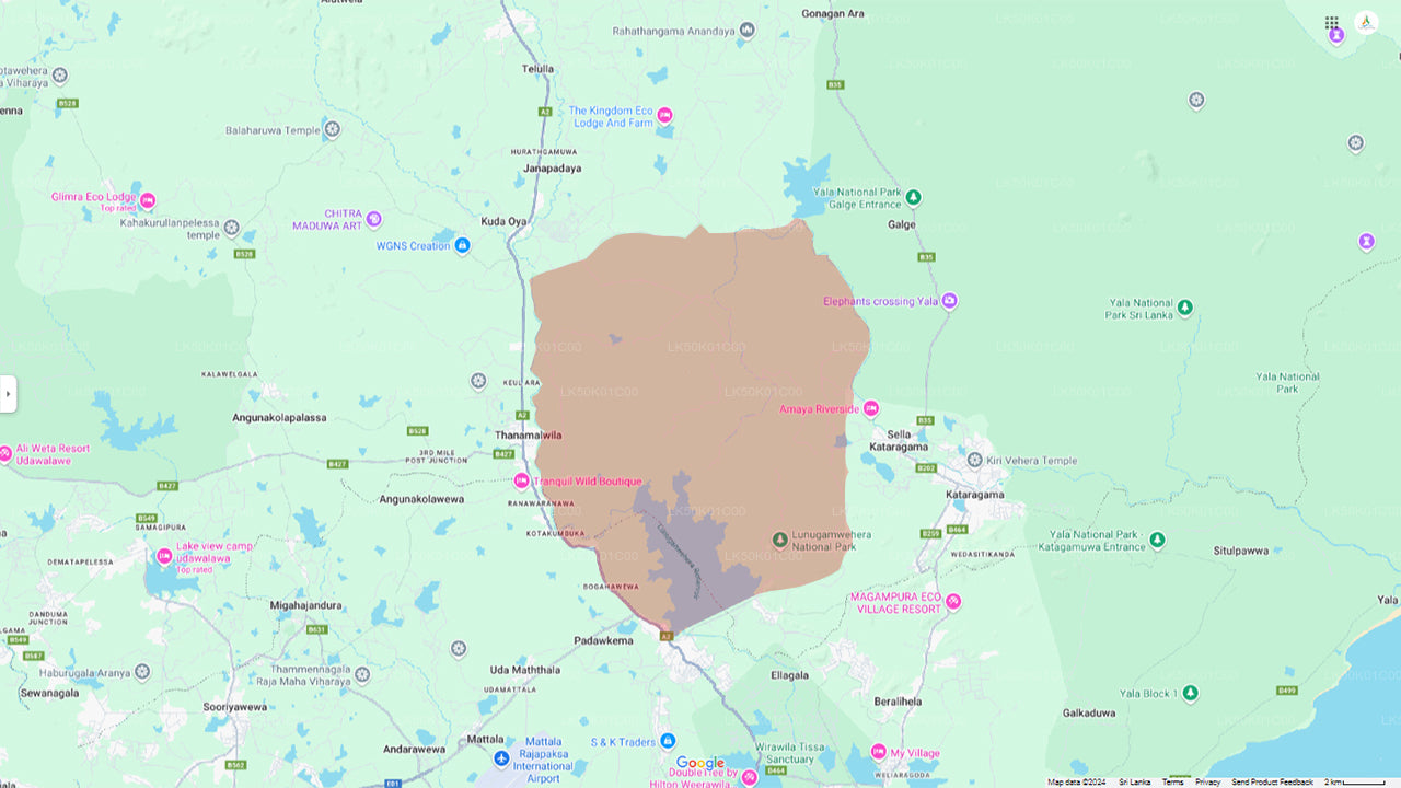 Safari privado en el Parque Nacional Lunugamvehera