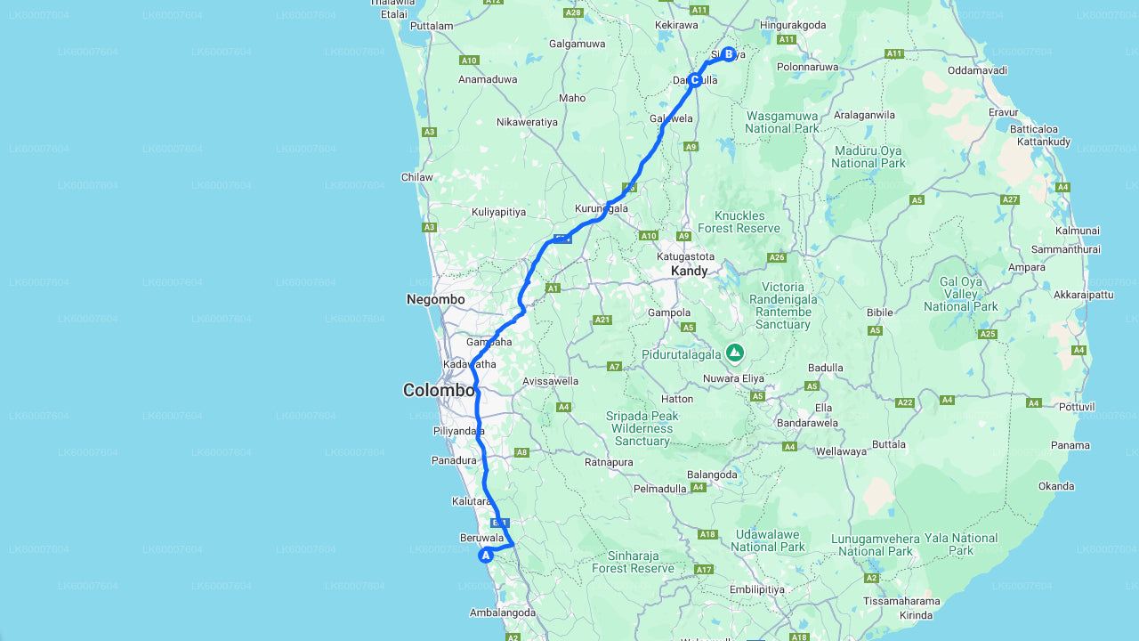 Sigiriya and Dambulla Cave from Bentota