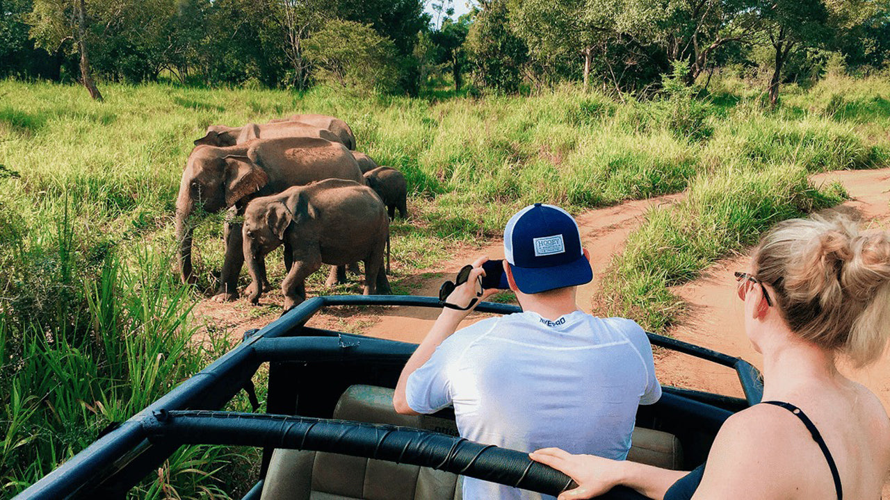 Safari por el patrimonio de Polonnaruwa y el parque ecológico Hurulu desde Pasikuda