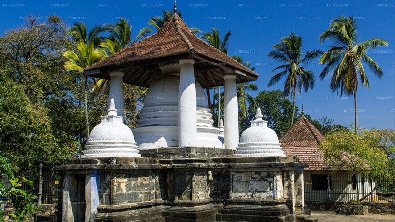 Excursión a Temple Run desde Kandy