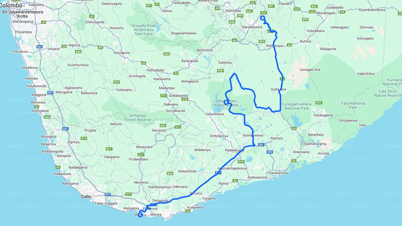 Tour privado de Ella a Mirissa con Udawalawe Safari