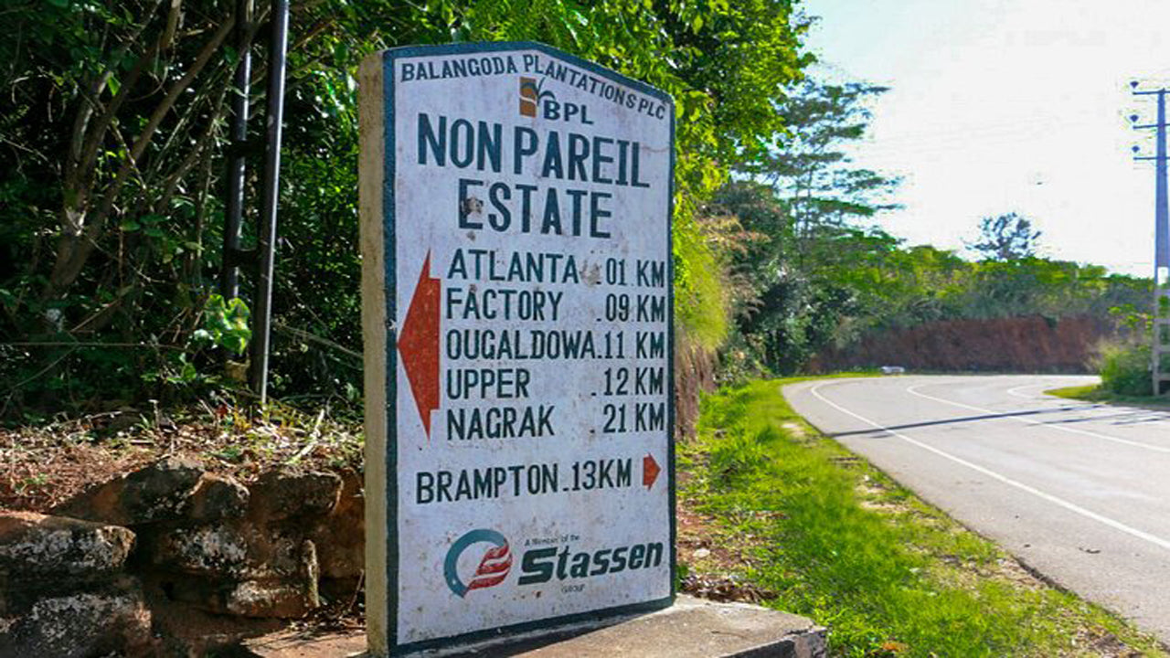 Senderismo en Nonpareil Trail