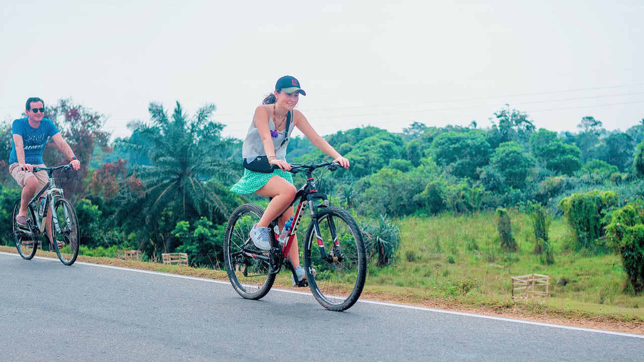 Cycling in Galle Countryside