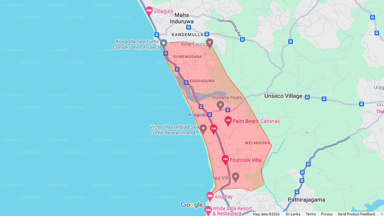 Clase de cocina de Sri Lanka desde Bentota