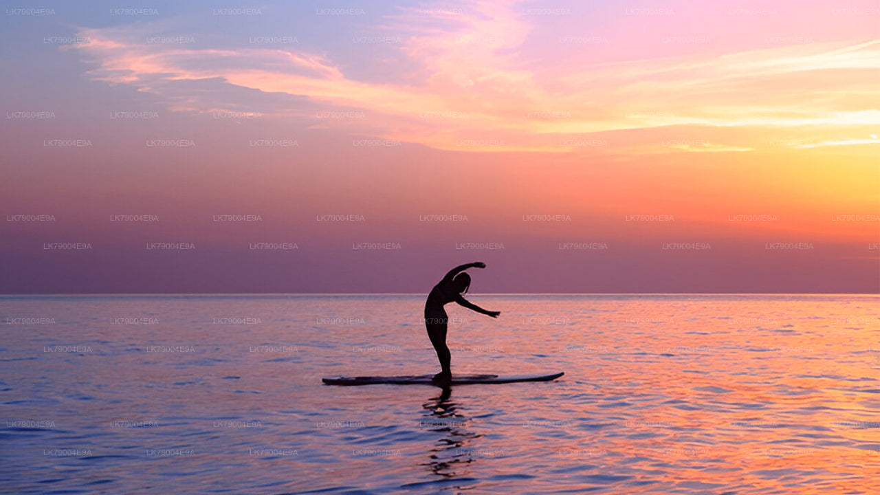 Crucero compartido al atardecer de 3 horas desde Galle