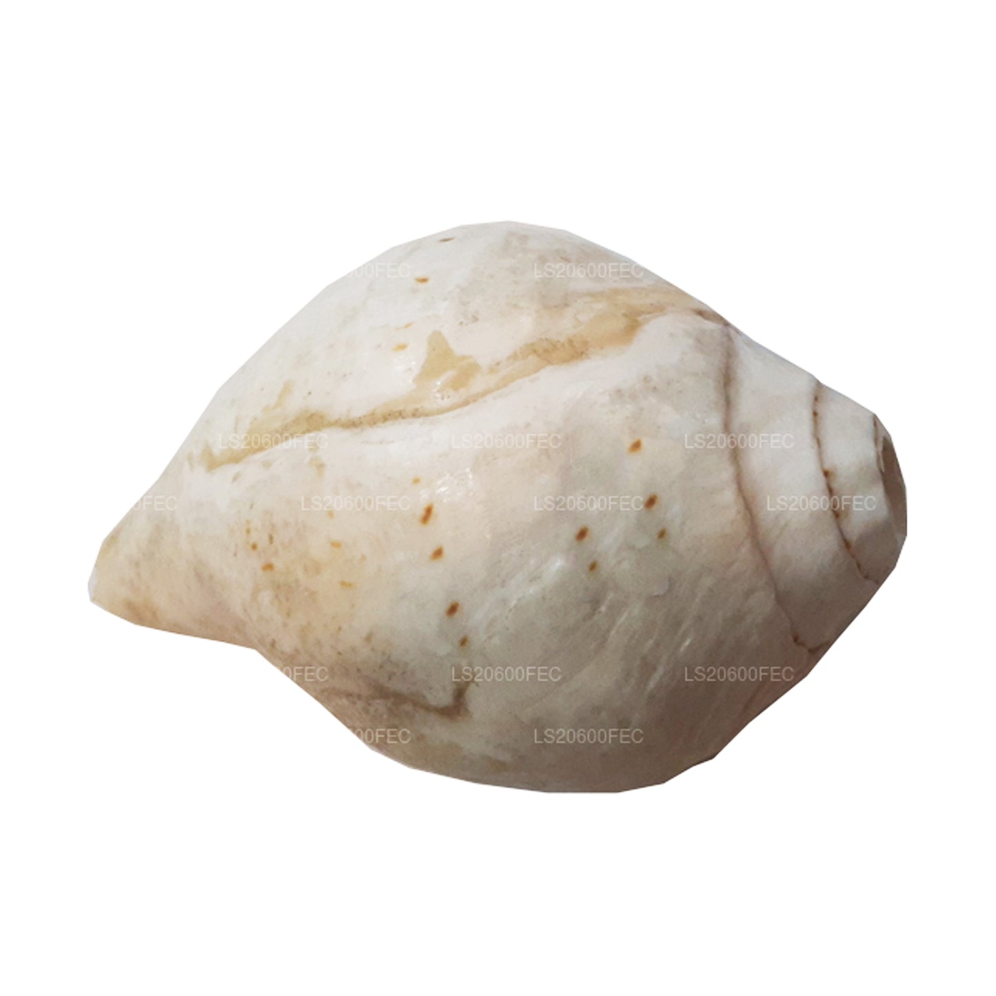 Lakpura, Sri Lanka, Hakgediya