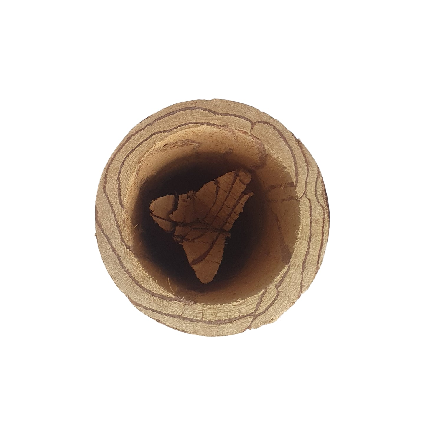 Taza Lakpura® Kothala Himbutu (Salacia reticulata)
