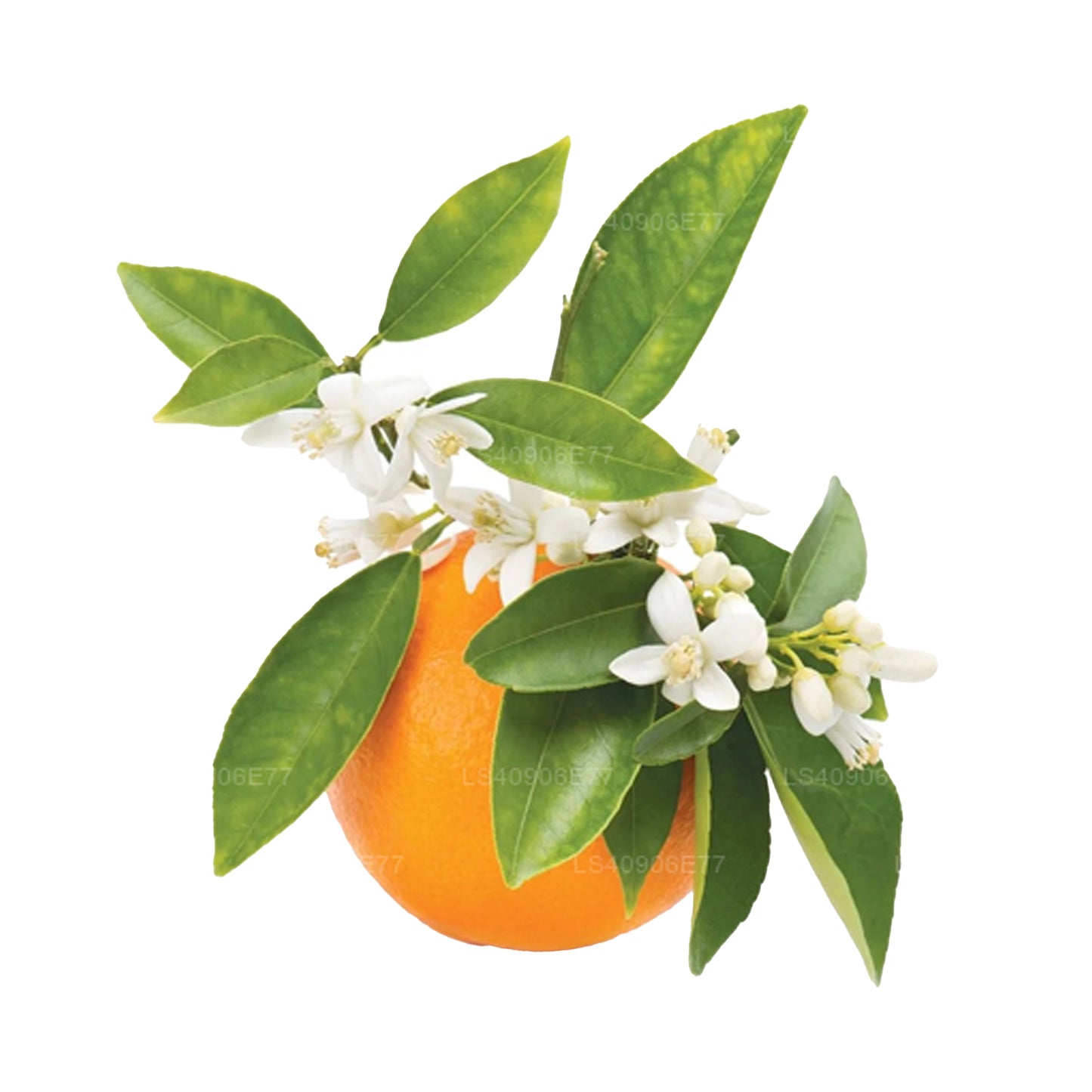 Aceite esencial Lakpura Petitgrain (15 ml)