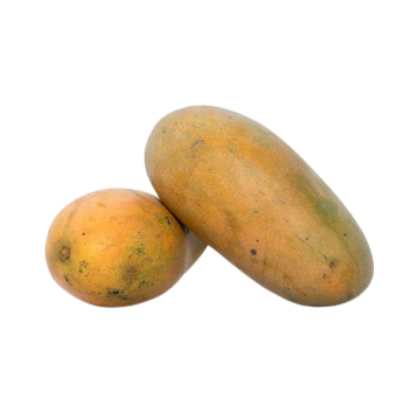 Planta de mango Lakpura® Karthakolomban