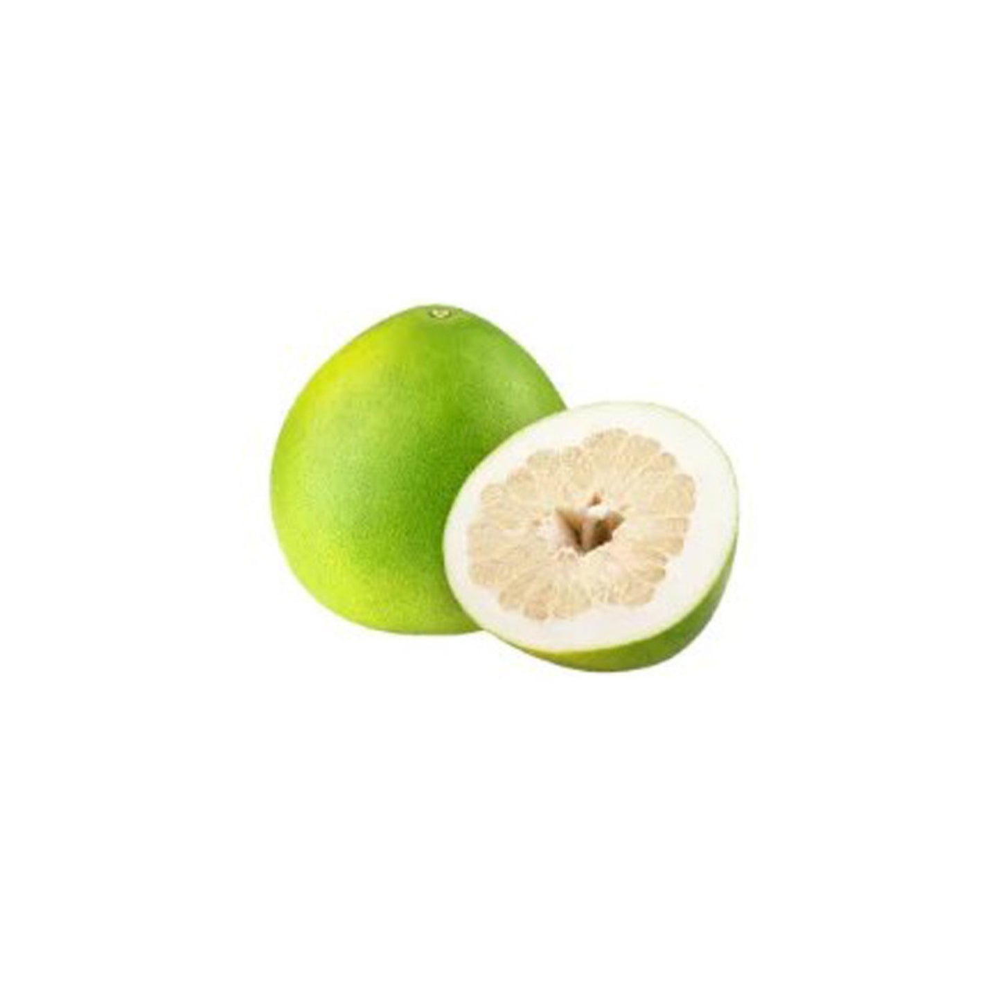 Planta injertada de pomelo blanco tailandés Lakpura®