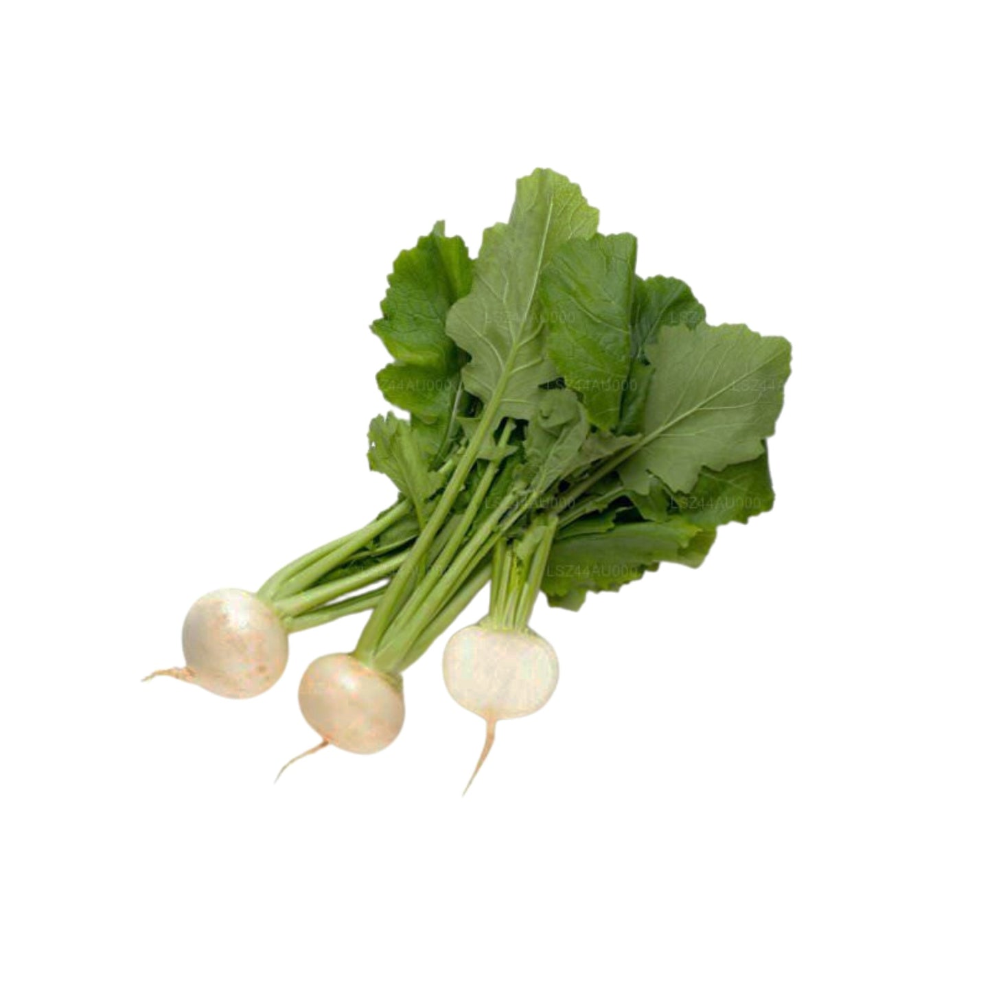 Rábano () 250 g
