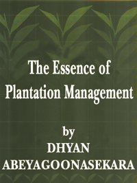 The Essence of Plantation Management