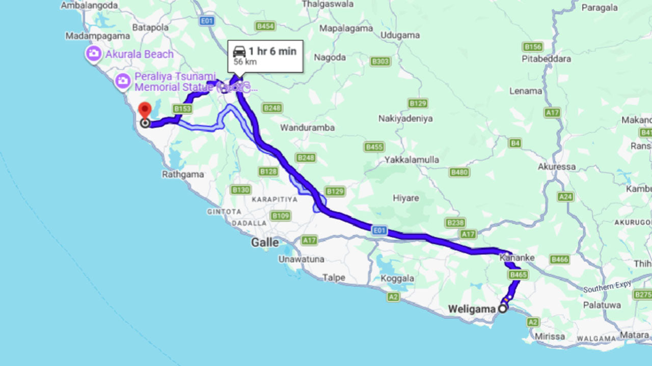 Liberación de tortugas bebés en Weligama