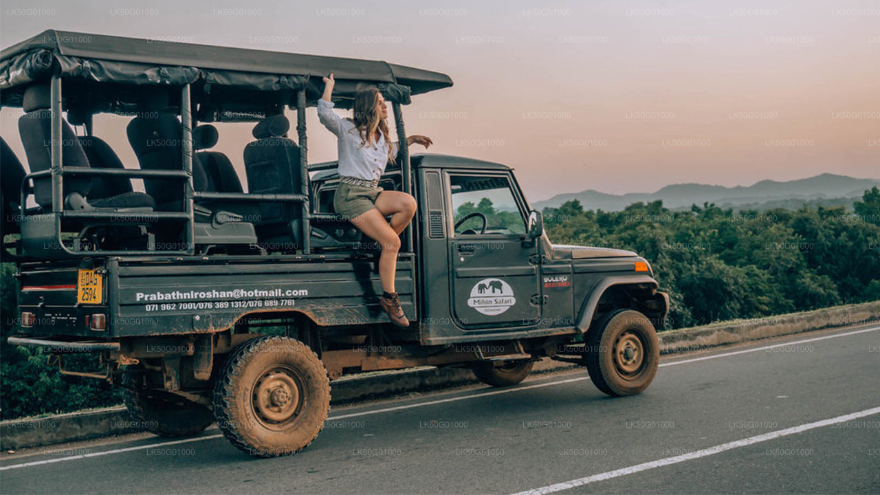 Safari privado con naturalista en el Parque Nacional de Udawalawe
