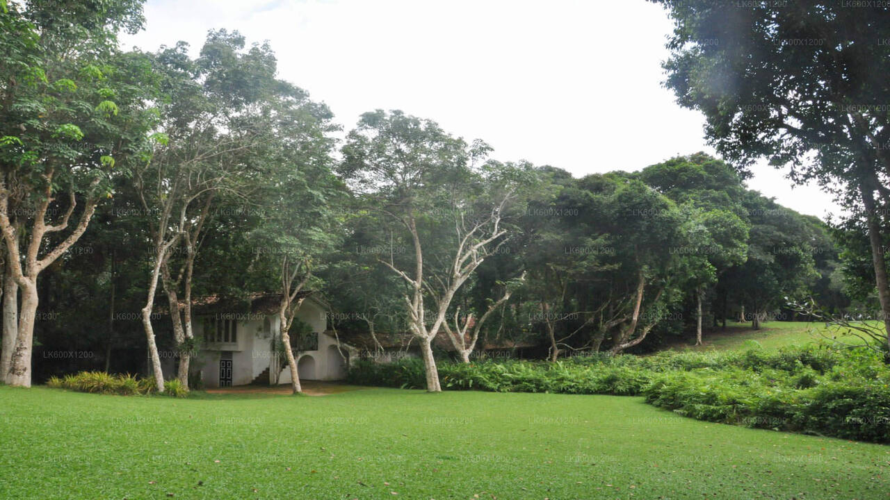 Recorrido por la ciudad de Bentota desde Hikkaduwa