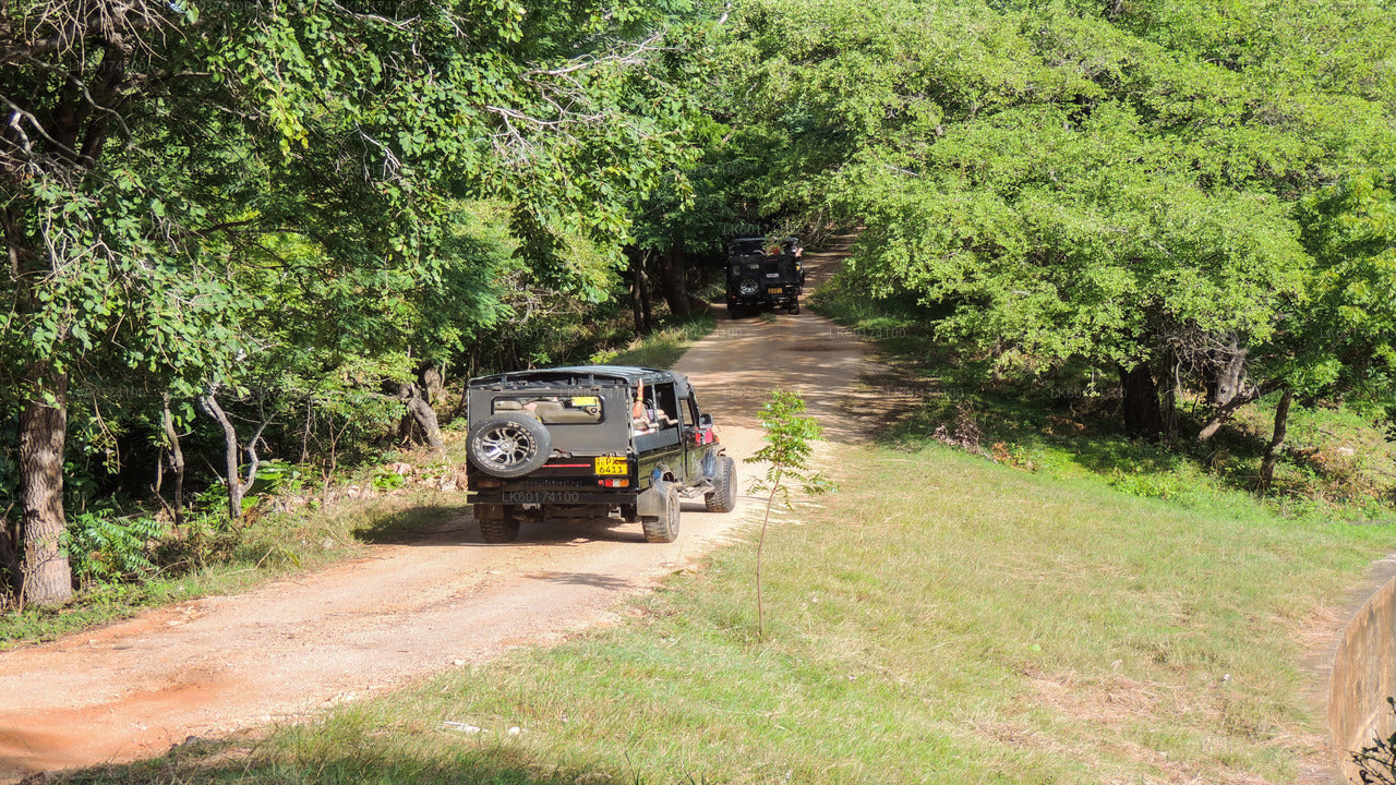 Safari en el Parque Nacional de Kaudulla desde Kandy