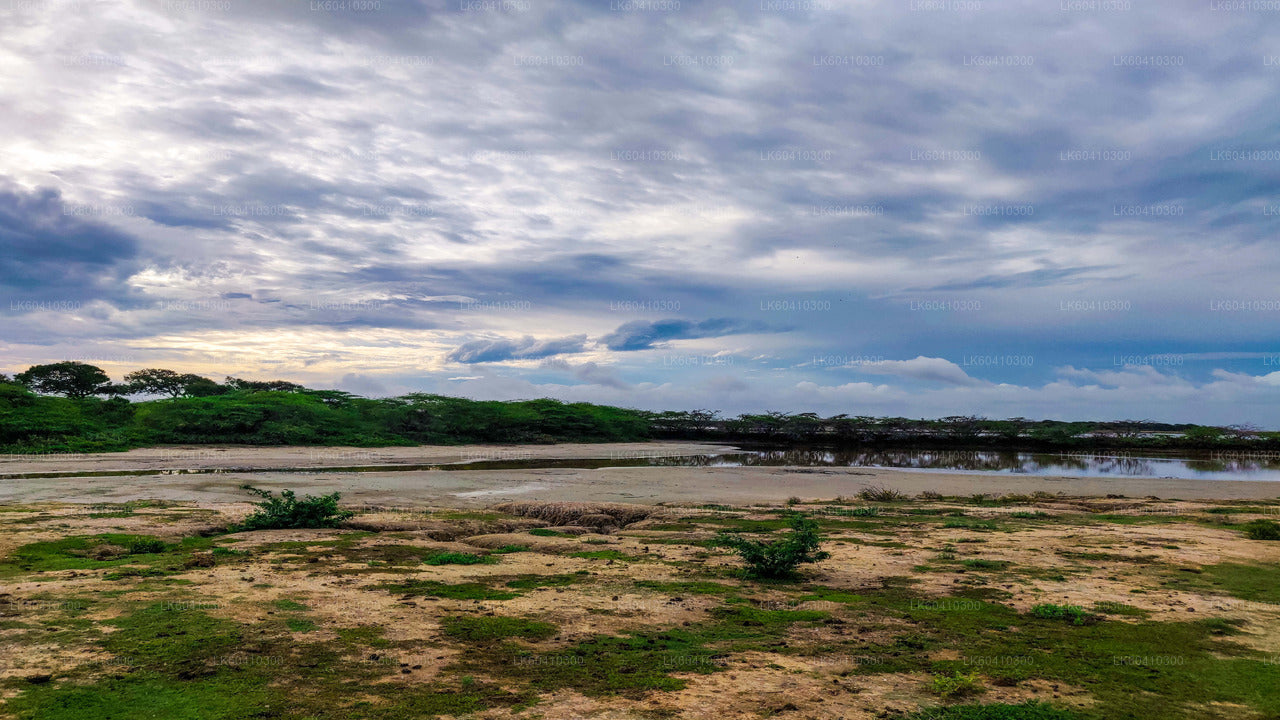 Safari por el Parque Nacional Bundala desde Unawatuna