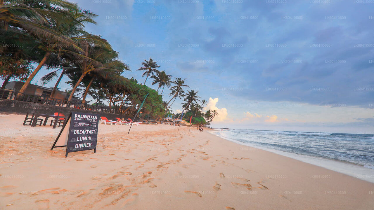 Recorrido por templos ocultos y costas apartadas desde Unawatuna