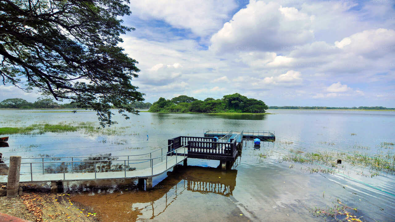 Paseo en barco por el lago Tissamaharama