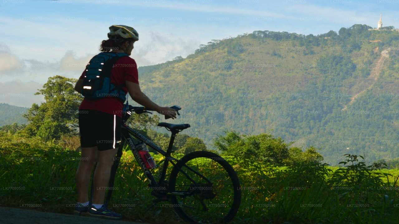 Cycling to Ellawala Waterfall