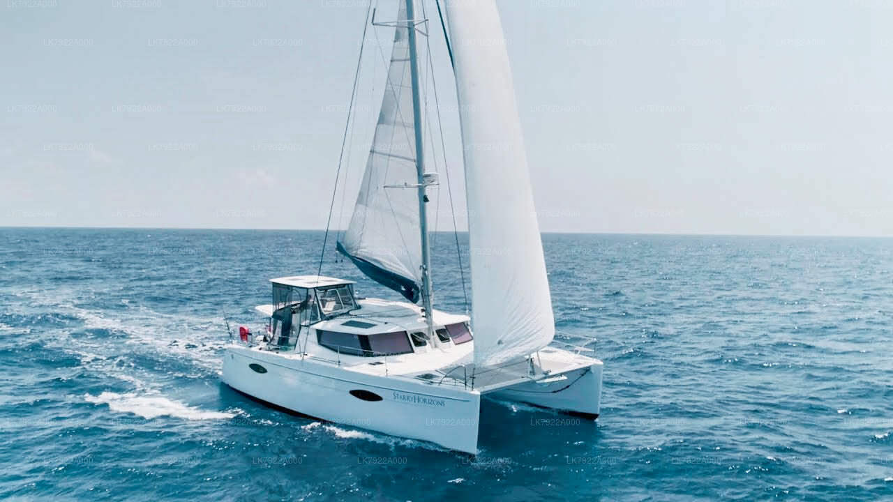 Excursión en yate para avistar ballenas desde Trincomalee