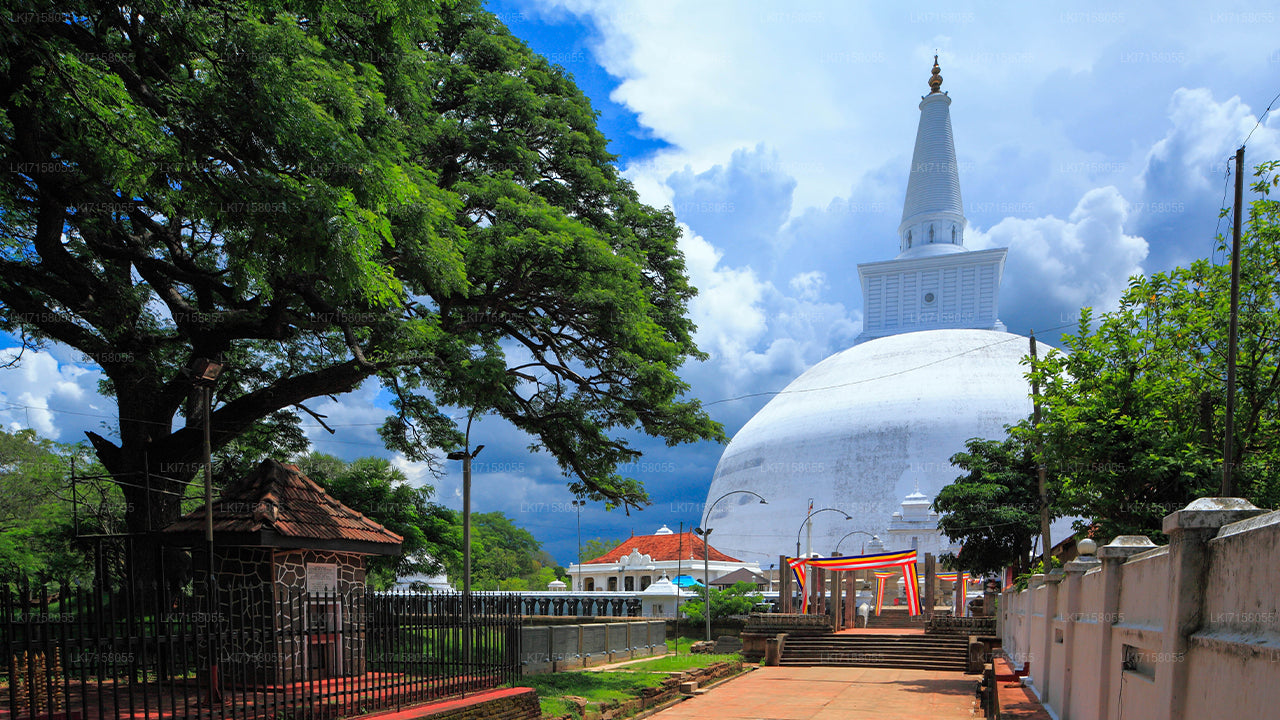 Experiencia espiritual de Anuradhapura