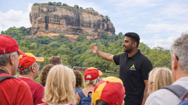 Guided Tours