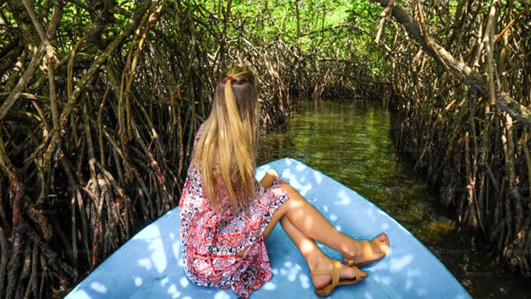 Madu River Boat Safari