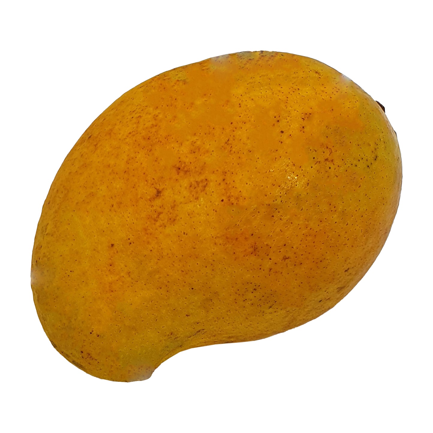 Mango Alphonso (1 kg)