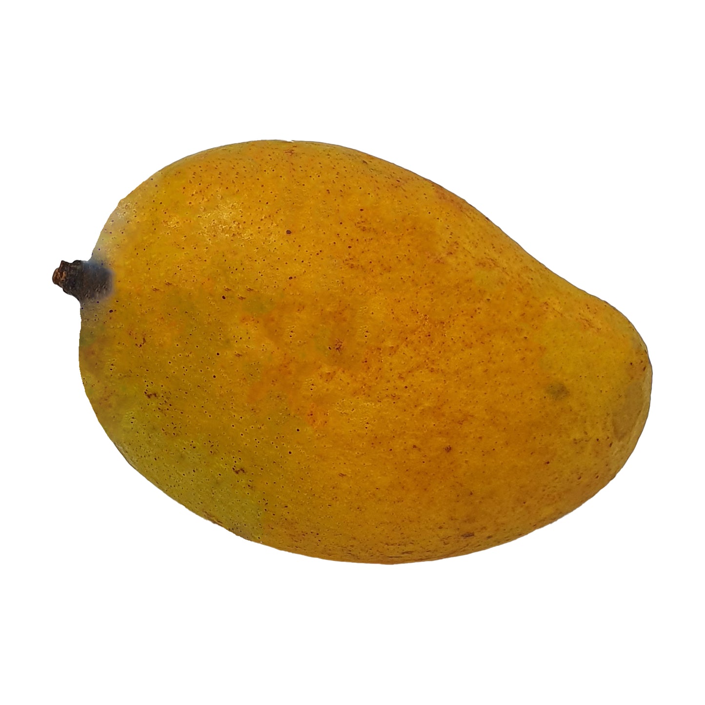 Mango Alphonso (1 kg)