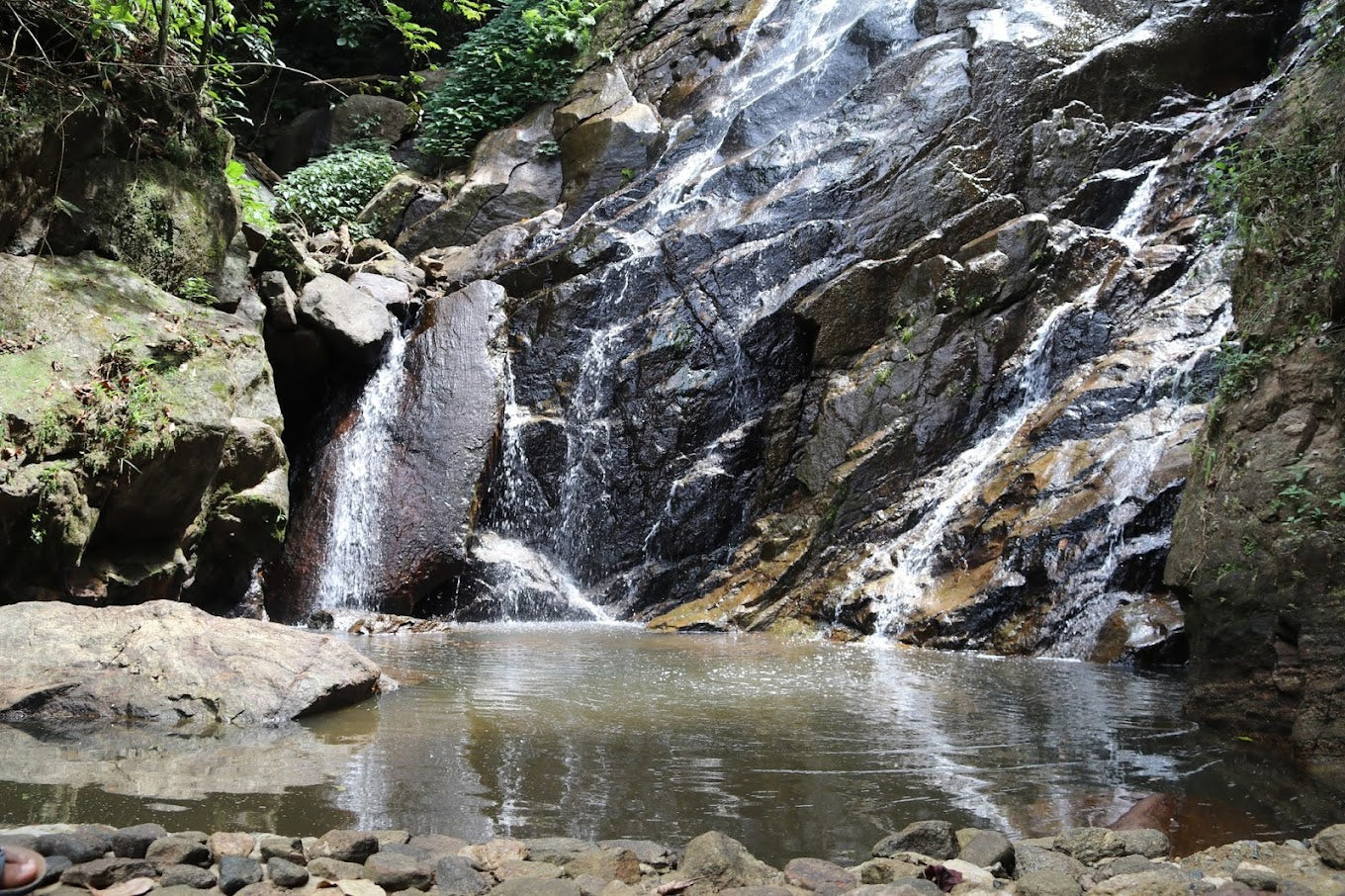 Paradise Eco Garden, Kithulgala