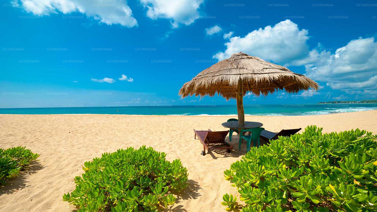 Descubre Sri Lanka con Mahesh Abeyratne