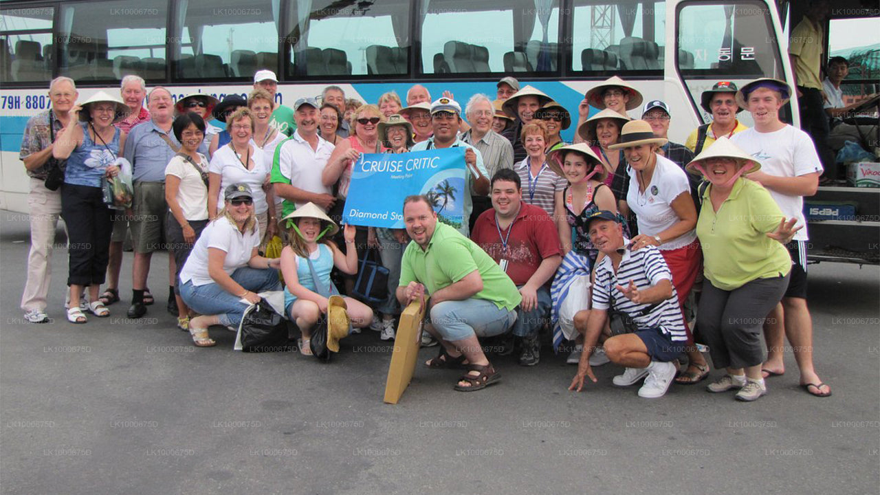 Handungoda y Galle desde la ciudad de Dikwella (excursión privada de un día)