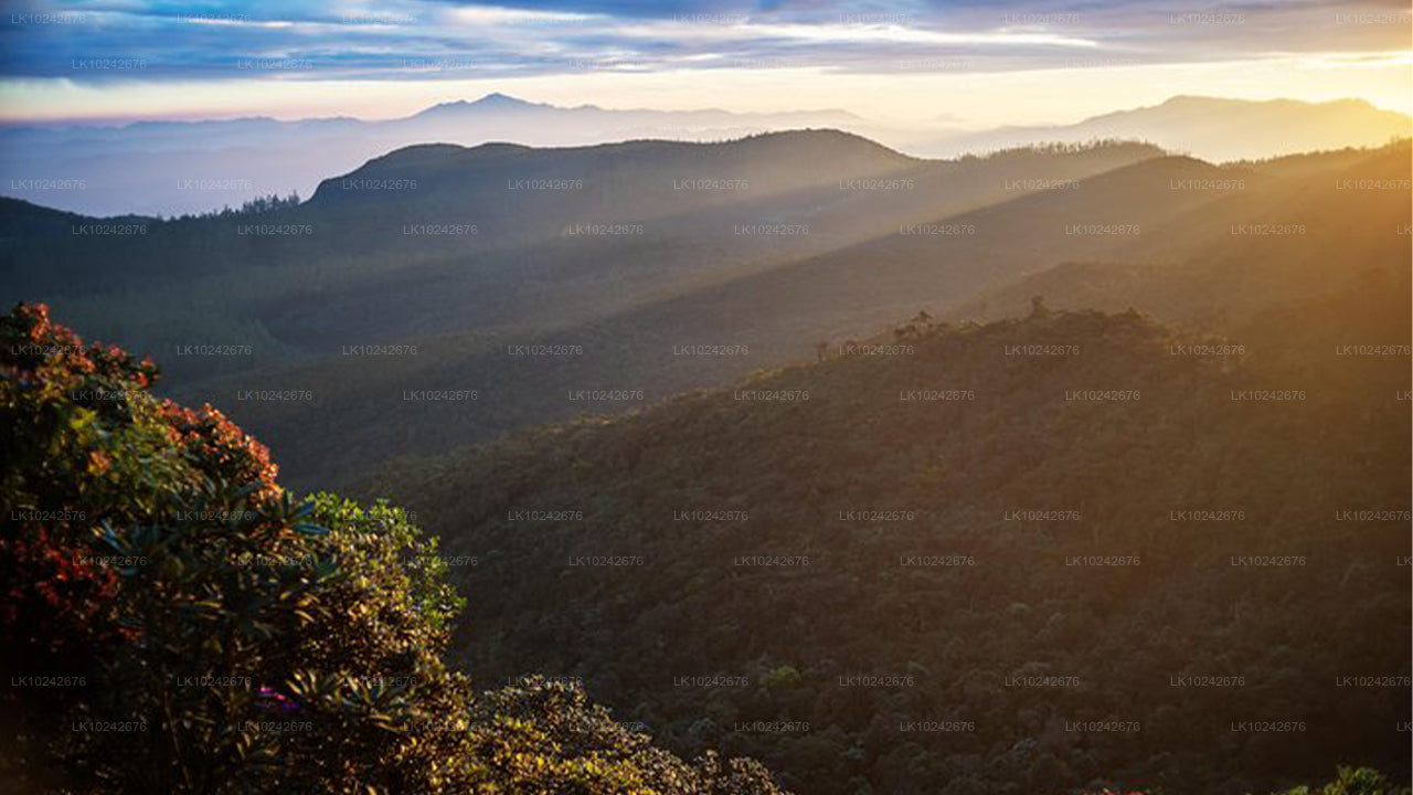 Misty Mountain Trails from Hikkaduwa (2 Days)