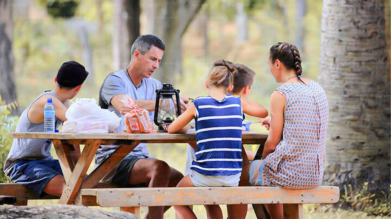 Tour Sustentable (10 Días)