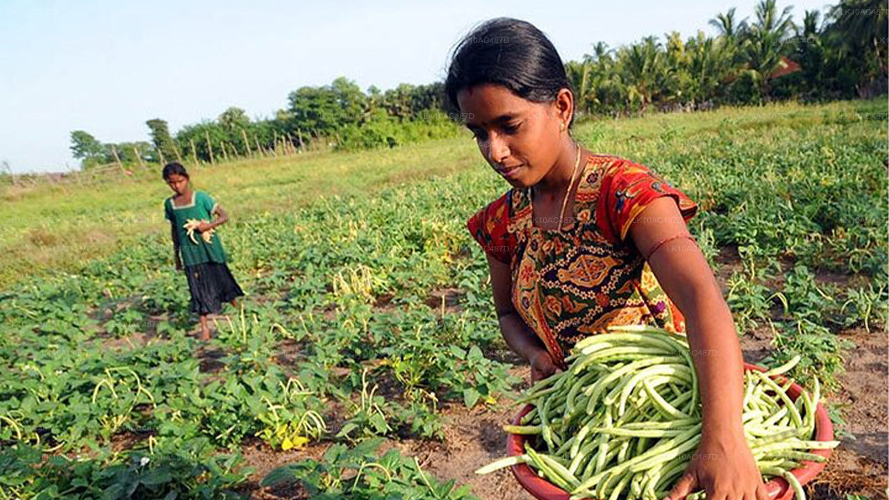 Tour Sustentable (10 Días)
