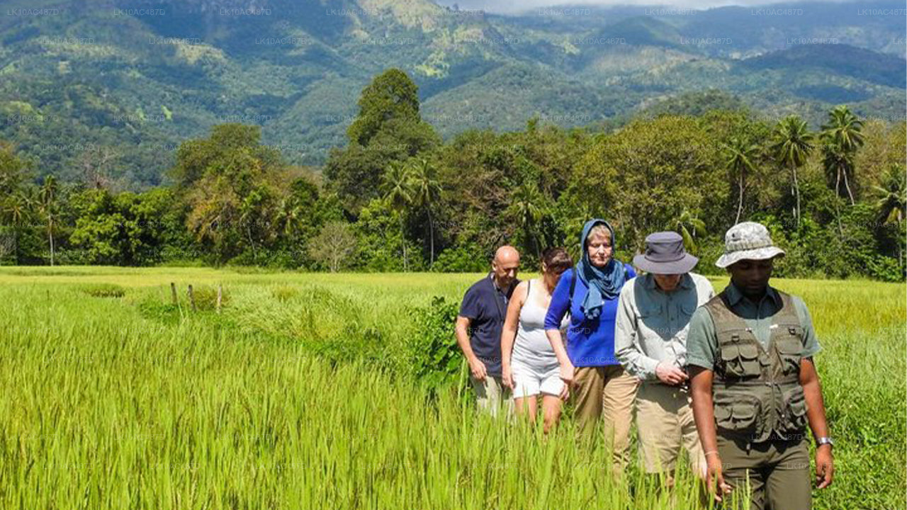 Tour Sustentable (10 Días)